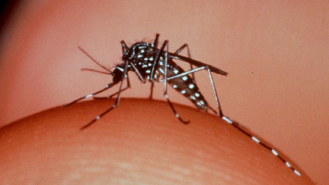 Vigilância orienta servidores municipais e mães do Jardim do Vale sobre o mosquito da Dengue