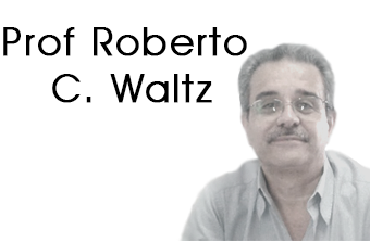 Prof Roberto C. Waltz
