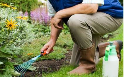 Jacareí oferece 50 vagas em curso de jardinagem gratuito