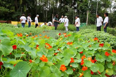 Jacareí abre inscrições para curso “Vivências com a Natureza”