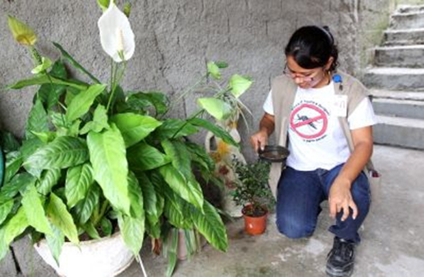 Temendo a Dengue, Jacareí reforça ações no combate ao mosquito