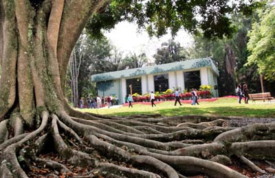 Ainda restam vagas para o curso Vivências com a Natureza no Viveiro Municipal “Seu Moura”