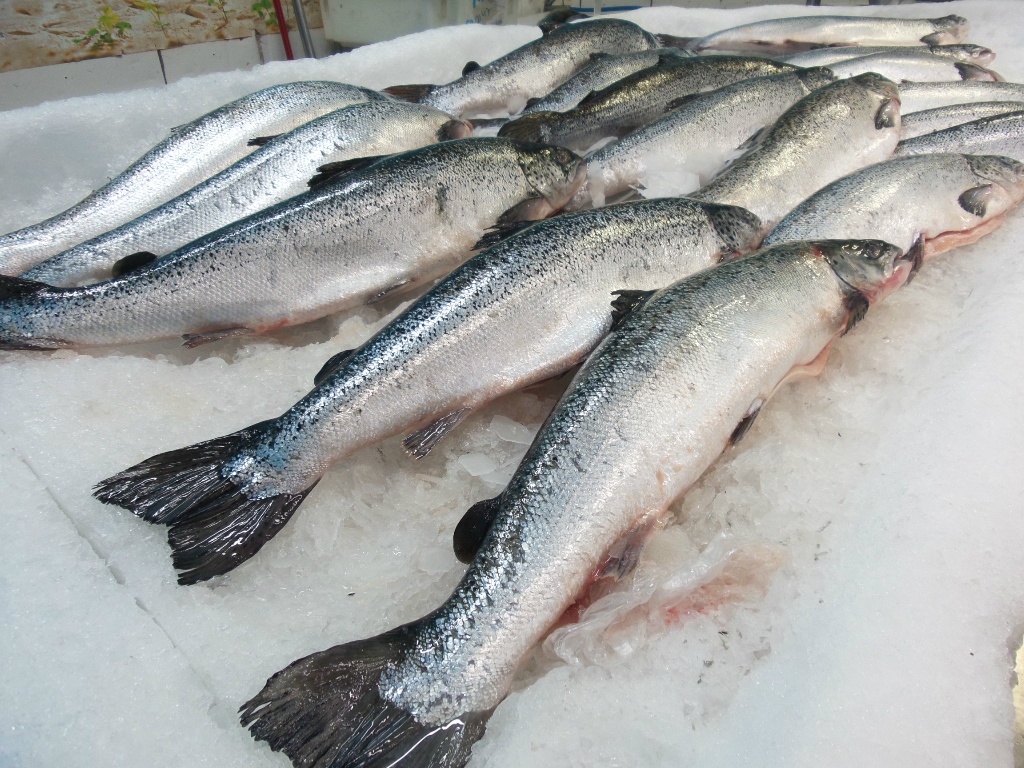 Ponto do Pescado tem opções para moradores