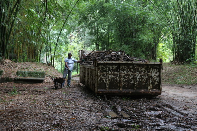 Domingo é o último dia de visitas no Viveiro Municipal durante as férias