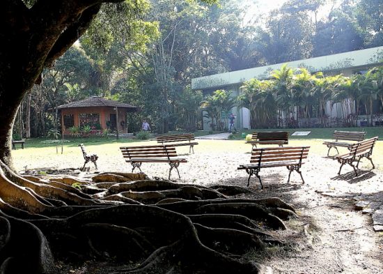 Parque da Cidade e Viveiro terão programação especial no domingo