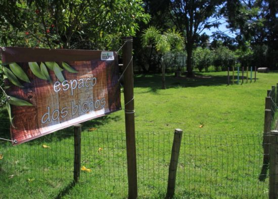 Espaço para cães chama atenção no Parque dos Eucaliptos