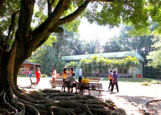 Sétima edição do Seminário de Educação Ambiental do Vale do Paraíba acontece nesta quinta em Jacareí