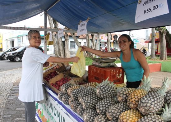 Ponto da Economia inicia venda de frutas natalinas