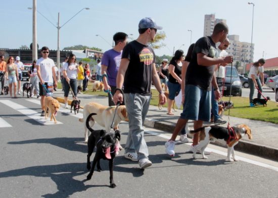 1ª Virada Animal de Jacareí reúne ações de conscientização, diversão e gastronomia