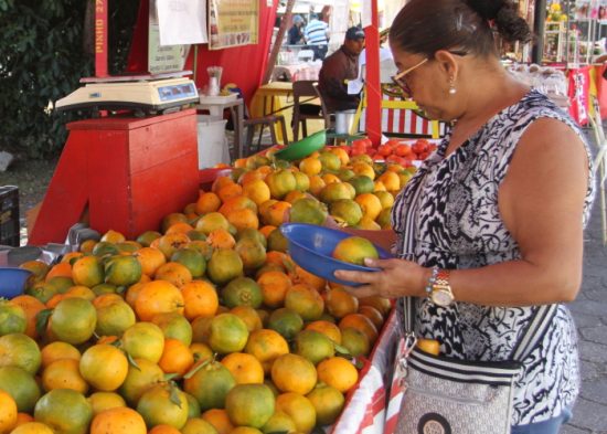 Ponkan está sendo vendida no Ponto da Economia