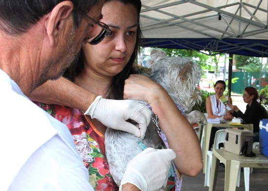 Jacareí promove vacinação antirrábica na Feira dos Trilhos deste domingo