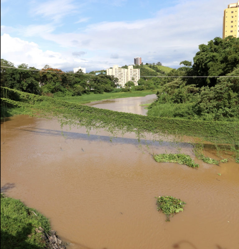 EDP vai retirar cabos com vegetação no Rio Paraíba