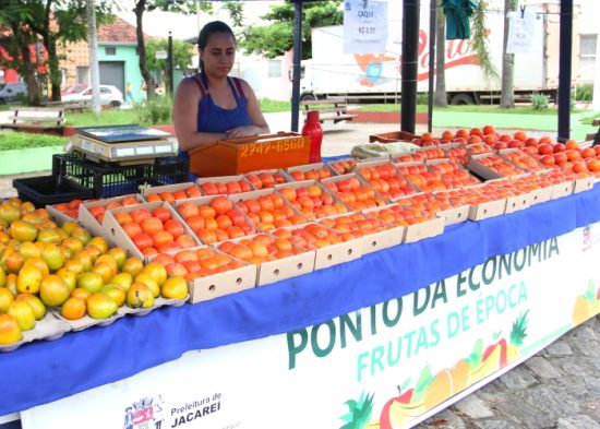 ‘Ponto da Economia’ inicia venda de caquis na próxima segunda-feira