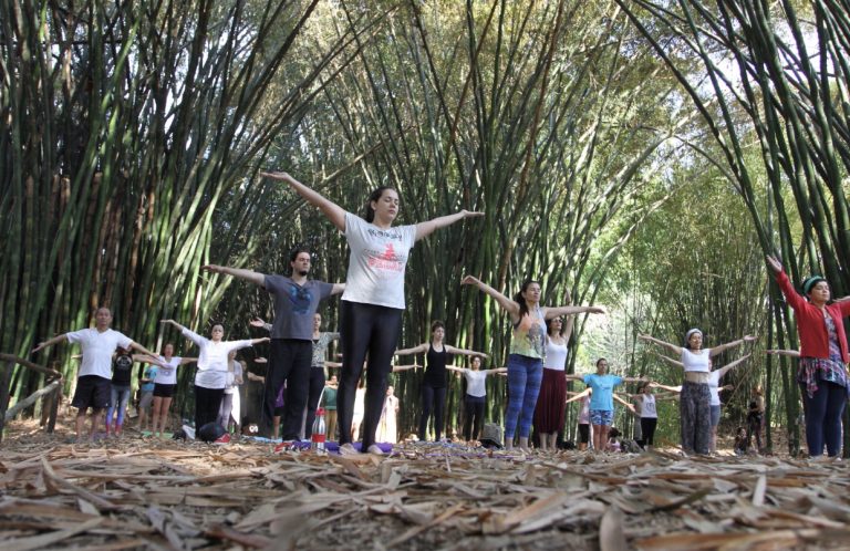 Viveiro Municipal terá yoga neste domingo