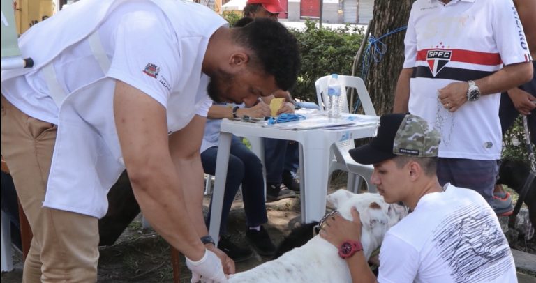 Jacareí terá vacinação antirrábica neste fim de semana