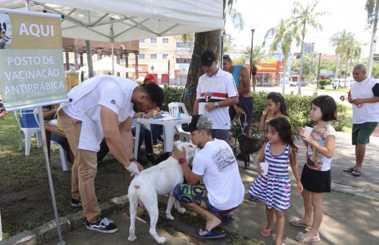 Jacareí imuniza 577 animais contra raiva neste final de semana