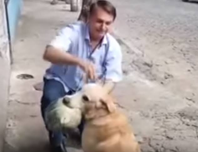 Bolsonaro anuncia criação de Secretaria dos Animais