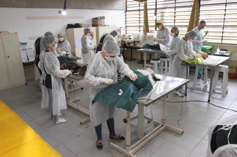 Castração deste domingo será no Sto. Antônio da Boa Vista