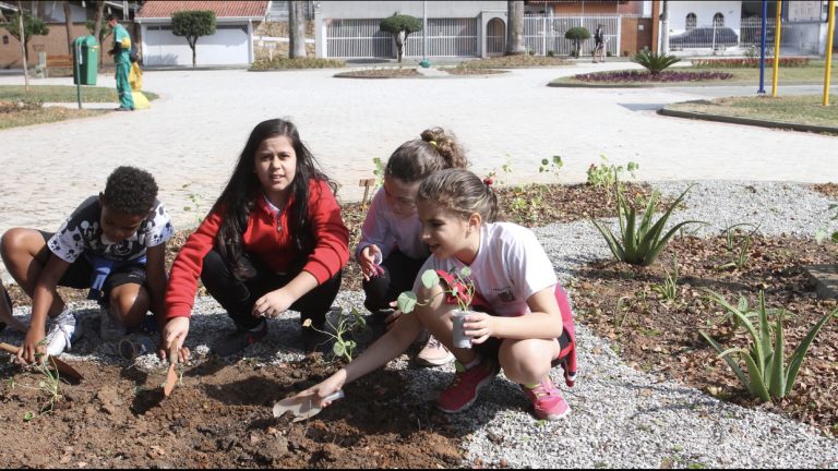 Alunos municipais fazem plantio em praça do Parque Brasil