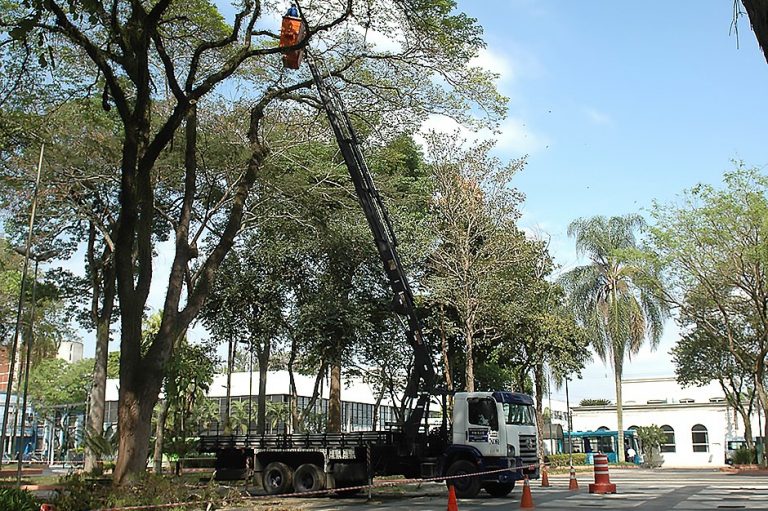 Palco do Natal Iluminado recebe serviço de arborização