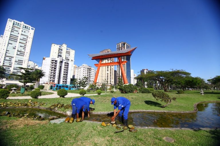São José é 1ª colocada em limpeza pública entre as 10 maiores cidades de SP