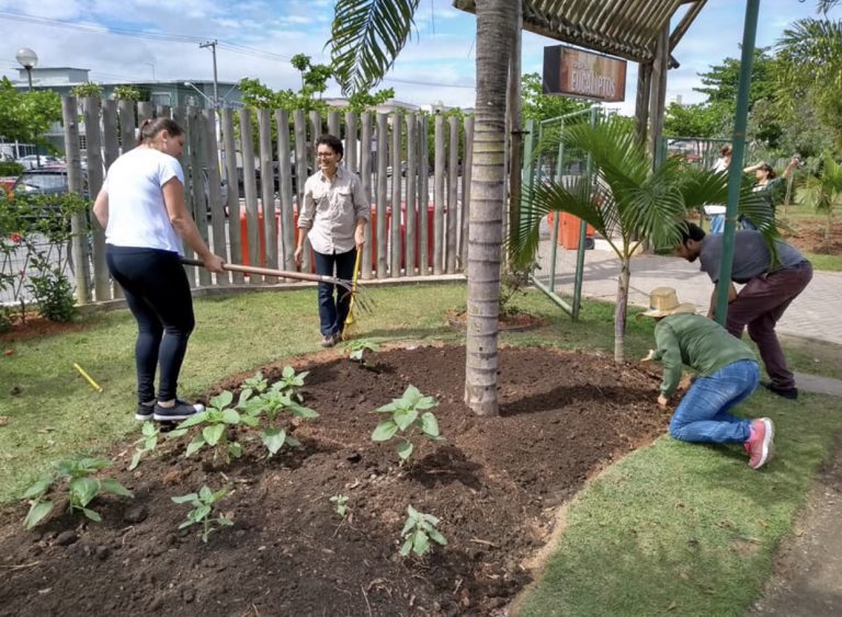 Alunos de Jardinagem revitalizam área no Parque dos Eucaliptos