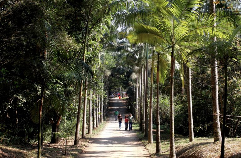 Jacareí promove “Viver o Viveiro” Especial Dia do Professor