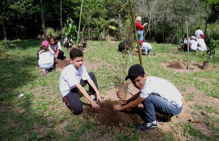 Alunos fazem plantio de mudas no Viveiro Municipal