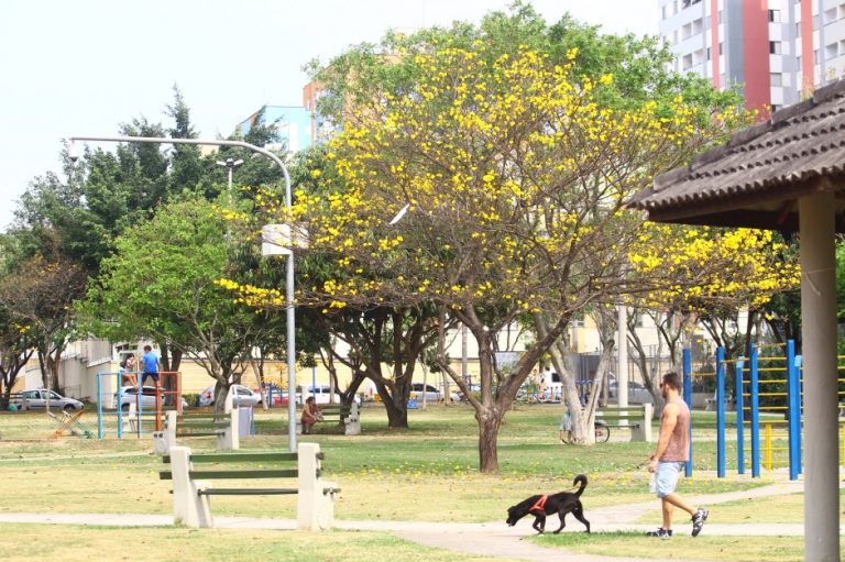 São José lança edital para decoração de praças no Natal