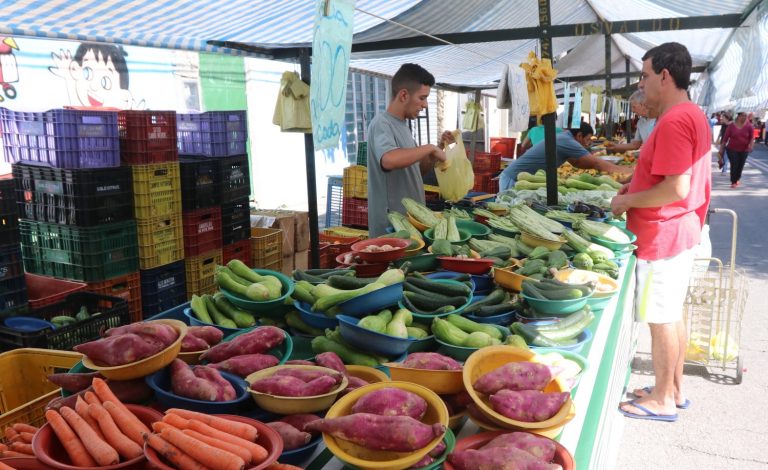 ‘Feira Livre I de Domingo’ retorna para a Av. Pereira Campos