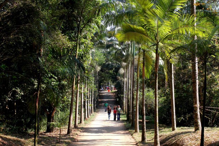 Domingo tem trilha no Viveiro de Jacareí