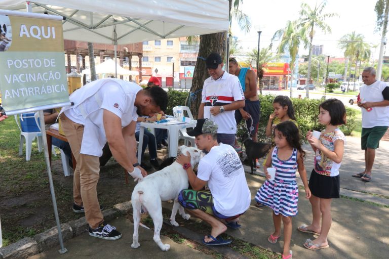 Vacinação antirrábica: agenda da semana que vem será a partir da terça-feira