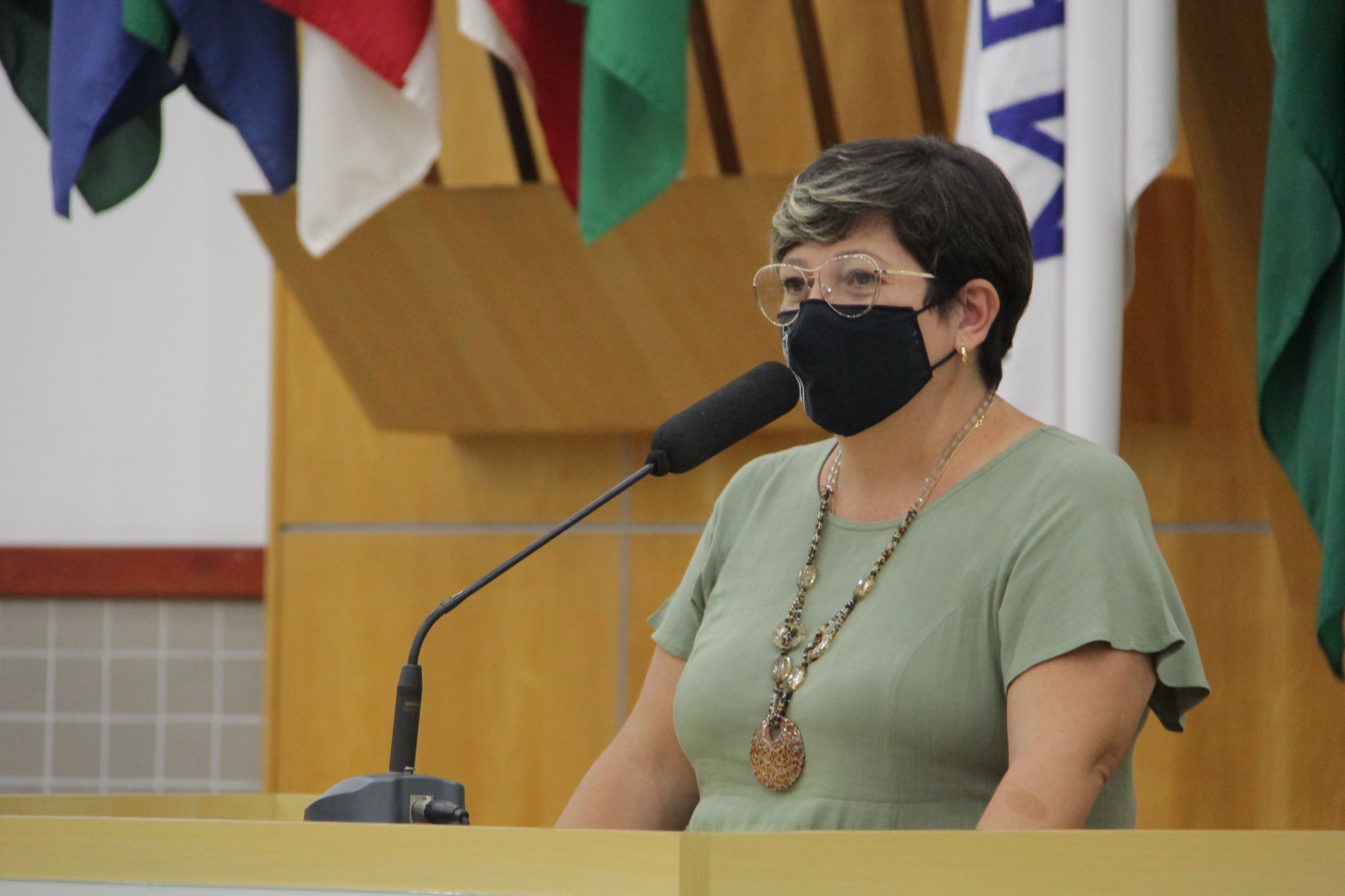 Maria Amélia pede manutenção ao SAAE em ruas do Terras de São João e Santa Cruz dos Lázaros