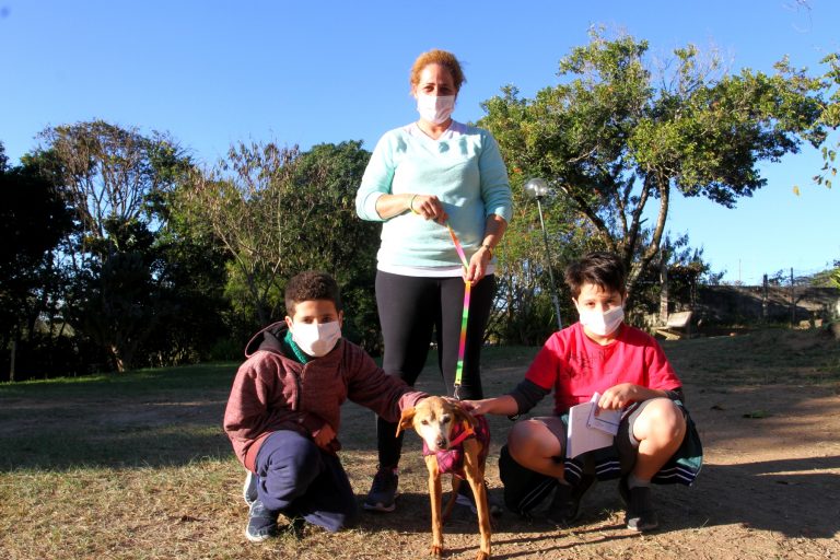 Cadelinha idosa é adotada em Canil de Jacareí