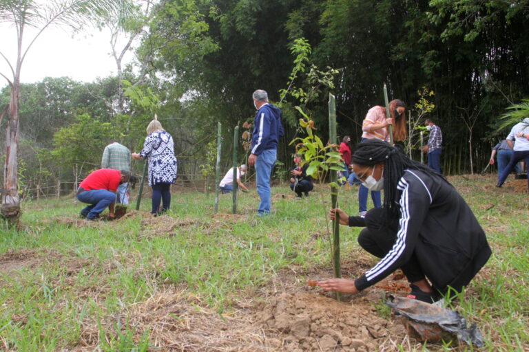 Chegada da primavera é celebrada com plantio de 50 mudas de árvores em Jacareí