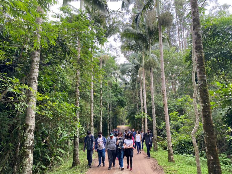 Núcleo de Educação Ambiental reabre agenda de visitas ao Viveiro Municipal de Jacareí