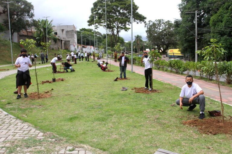 ‘Dia Mundial em Memória das Vítimas de Acidentes de Trânsito’ é celebrado com plantação de mudas de árvores