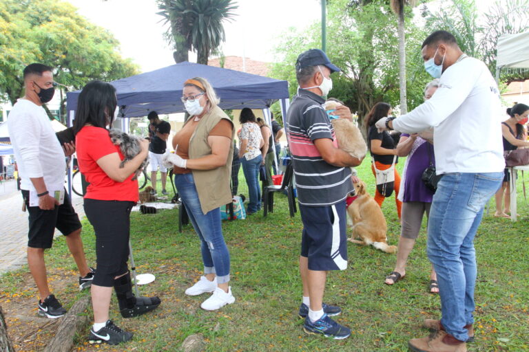 Jacareí promove vacinação antirrábica para cães e gatos no domingo