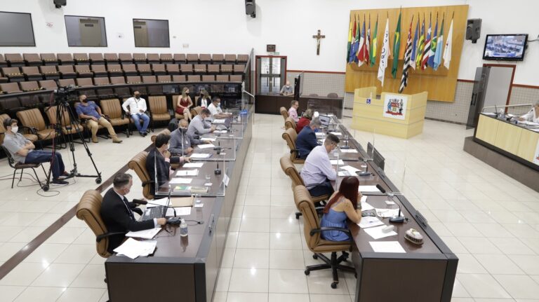 Câmara aprova permissão de videochamadas a pacientes internados