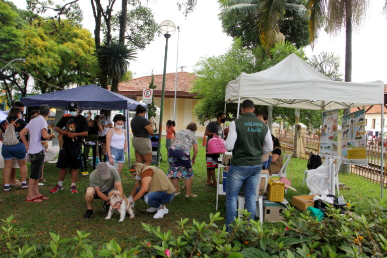 Jacareí promove vacinação antirrábica para cães e gatos neste sábado e domingo