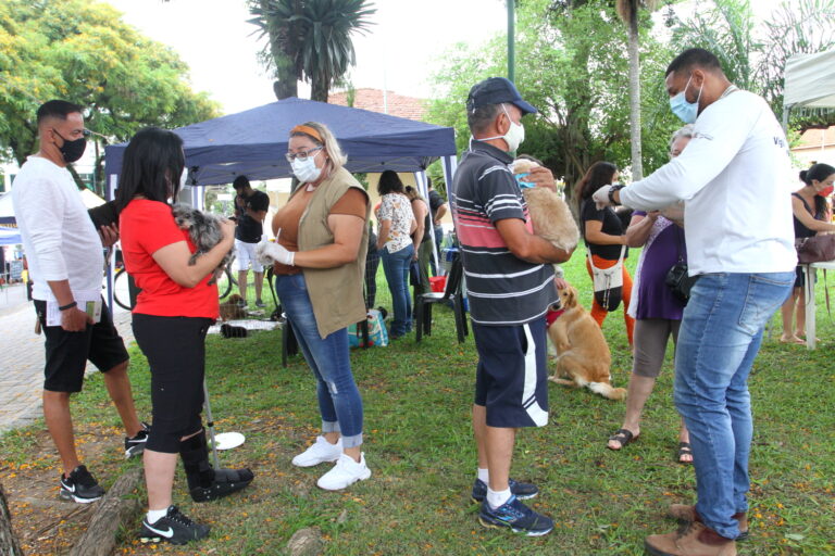 Jacareí realiza vacinação antirrábica para cães e gatos neste sábado no Jardim Paraíso