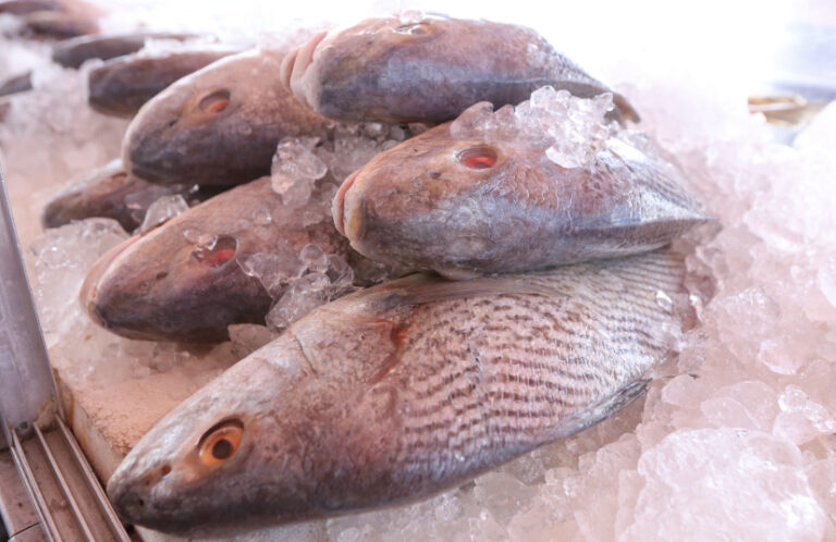 Semana Santa traz ‘Ponto do Pescado’ em seis endereços de Jacareí