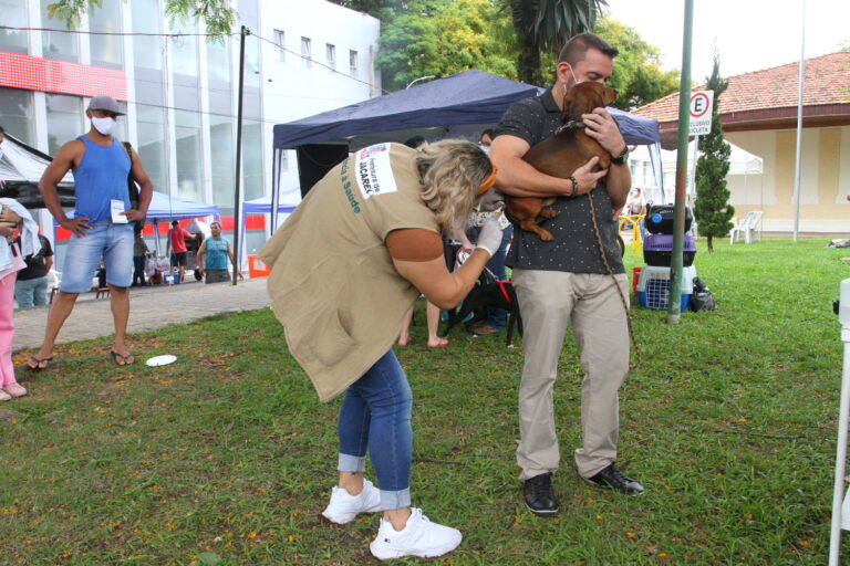 Jacareí realiza vacinação antirrábica para cães e gatos neste domingo