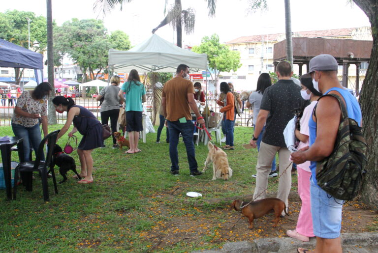 Jacareí realizará vacinação antirrábica para cães e gatos neste sábado