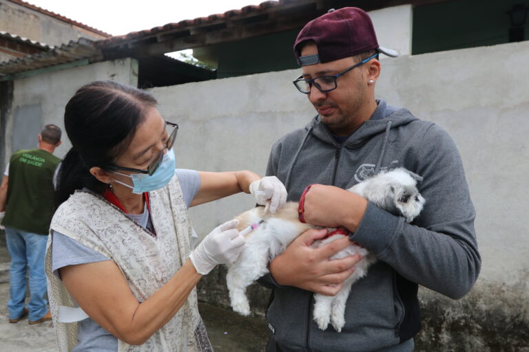 Jacareí realiza vacinação antirrábica para cães e gatos neste domingo no Parque da Cidade