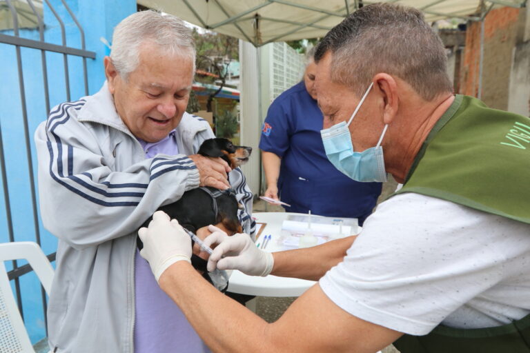 Jacareí vacina cães e gatos contra a raiva neste domingo