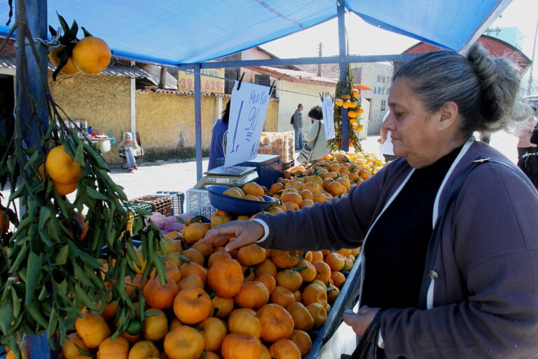 Ponto da Economia inicia venda de ponkan nesta terça-feira em Jacareí