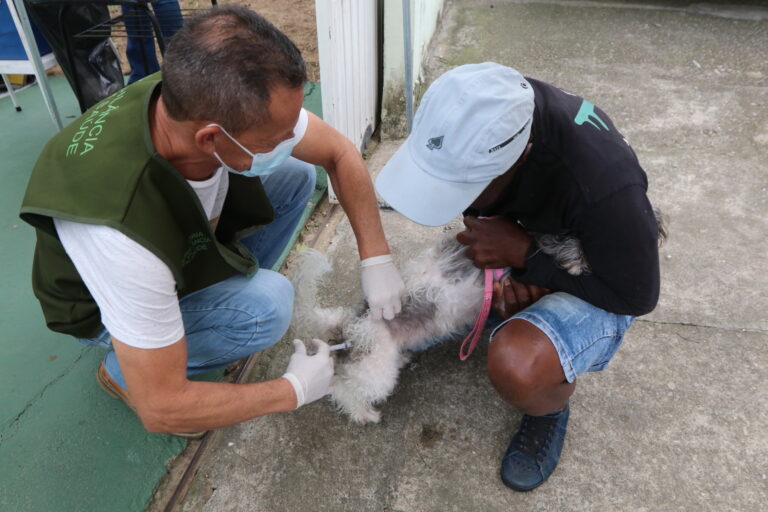 Jacareí realiza vacinação antirrábica nos pets neste domingo