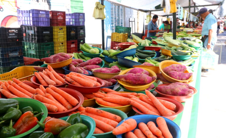 Jacareí tem 80 vagas abertas para curso de higiene e manipulação de alimentos