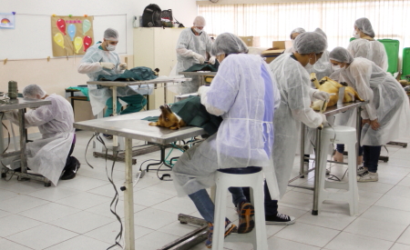 Jacareí realiza mutirão de castração e de vacinação antirrábica para cães e gatos neste sábado